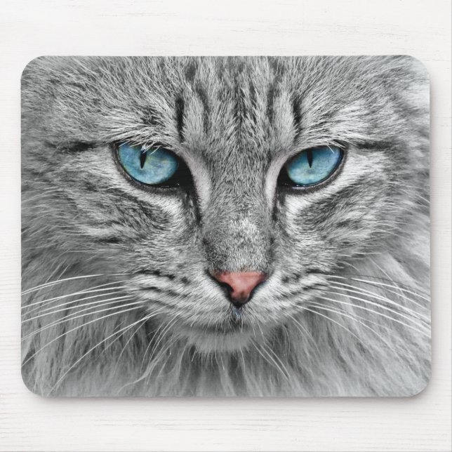 Bright Blue Öga | Monokrom | Kat Porträtt Musmatta (Framsidan)