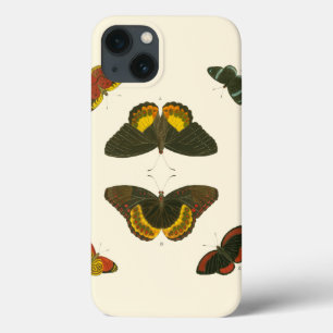 Bright Butterflies by Pieter Cramer