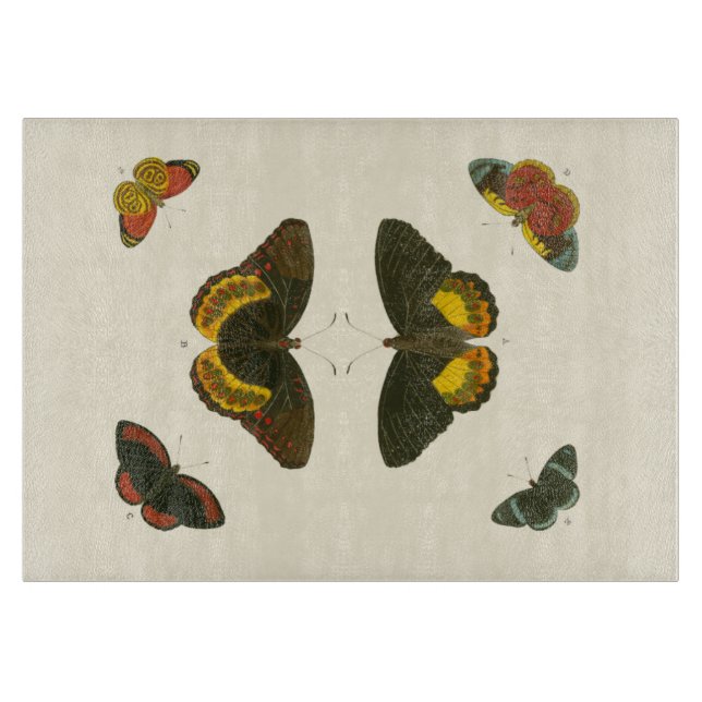 Bright Butterflies by Pieter Cramer (Framsidan)
