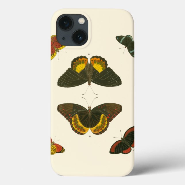 Bright Butterflies by Pieter Cramer (Baksida)