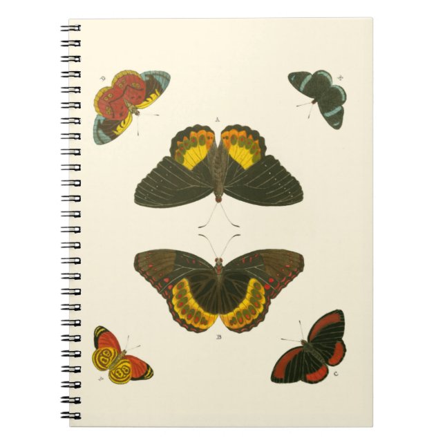 Bright Butterflies by Pieter Cramer Anteckningsbok (Framsidan)