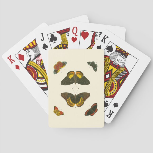 Bright Butterflies by Pieter Cramer Casinokort (Baksidan)