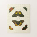 Bright Butterflies by Pieter Cramer Pussel<br><div class="desc">Dessa skarpa fjärilar är oerhört färgstarka i sin presentation. Ett fantastisk av Pieter Cramer skulle vara en utmärkt gåva till naturen älskare i ditt liv!</div>