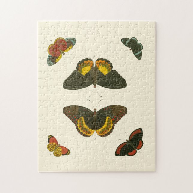 Bright Butterflies by Pieter Cramer Pussel (Vertikal)
