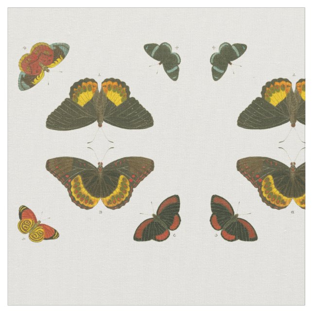 Bright Butterflies by Pieter Cramer Tyg (Närbild)