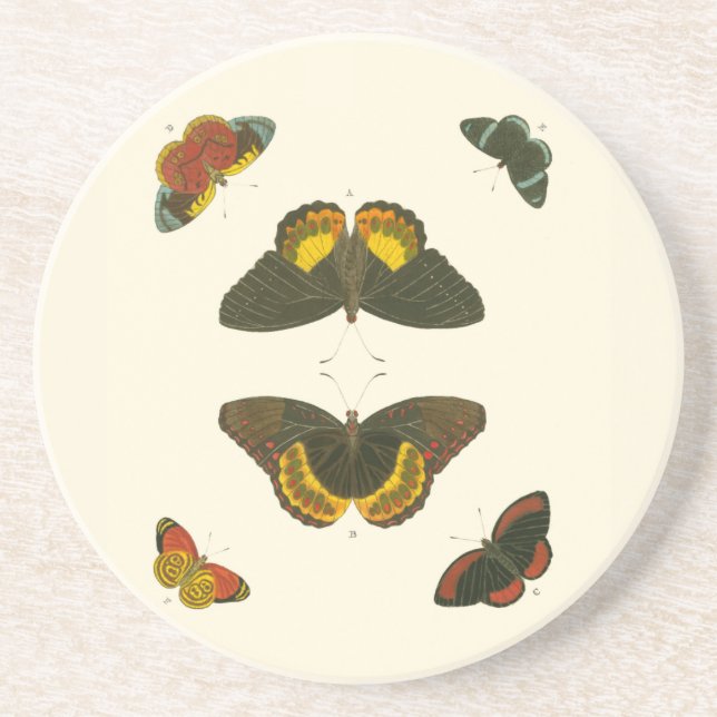 Bright Butterflies by Pieter Cramer Underlägg (Framsidan)
