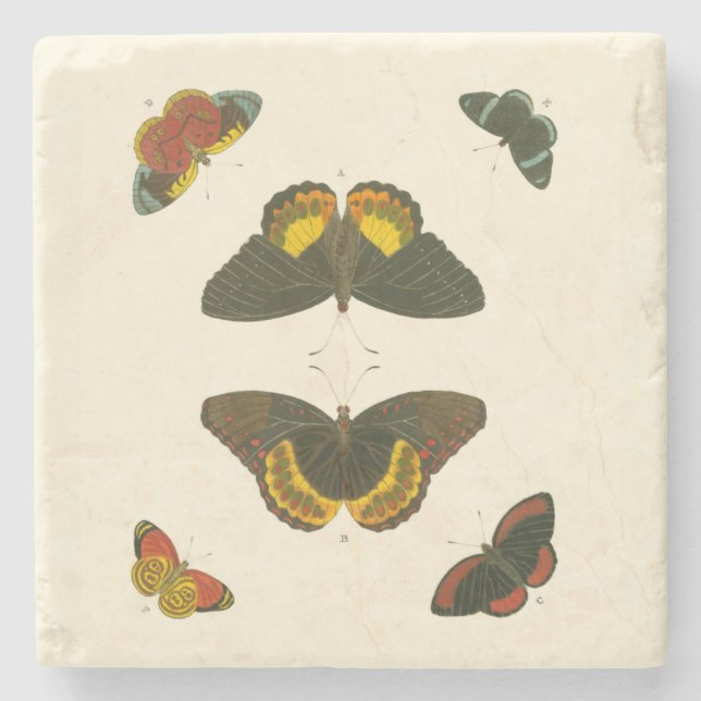 Bright Butterflies by Pieter Cramer Underlägg Sten (Framsidan)
