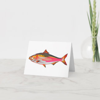 Bright, colourful fish greetings card helgkort