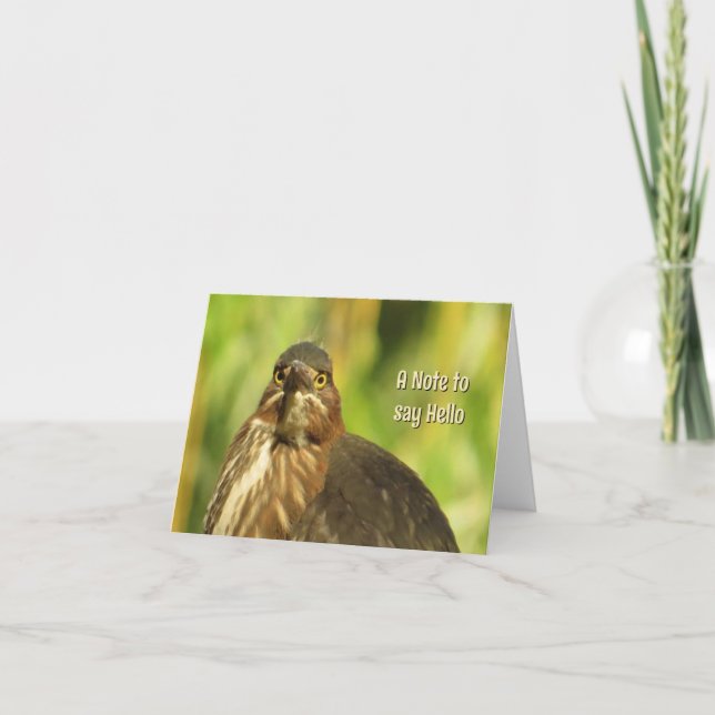 Bright Eyed Heron - Tomt gratulationskort Kort (Framsida)