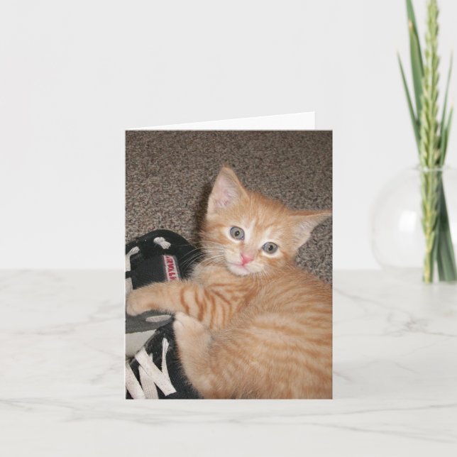 Bright Eyed Kitten Note-kort Kort (Framsida)
