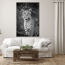 Bright-Eyed Young Leopard