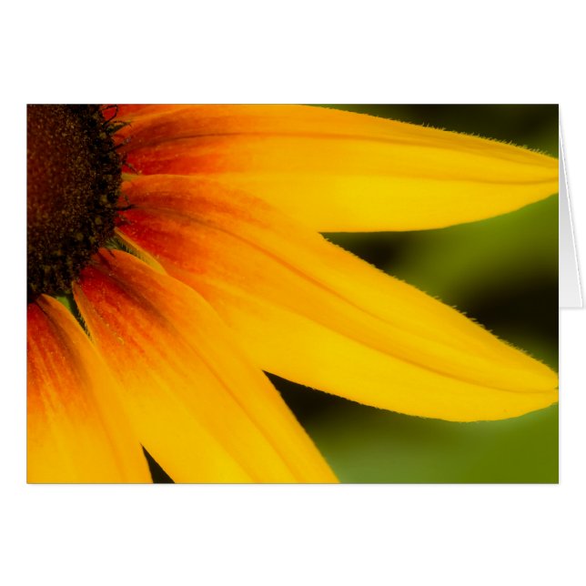 Bright Flower OBS Kort (Framsidan Horizontal)