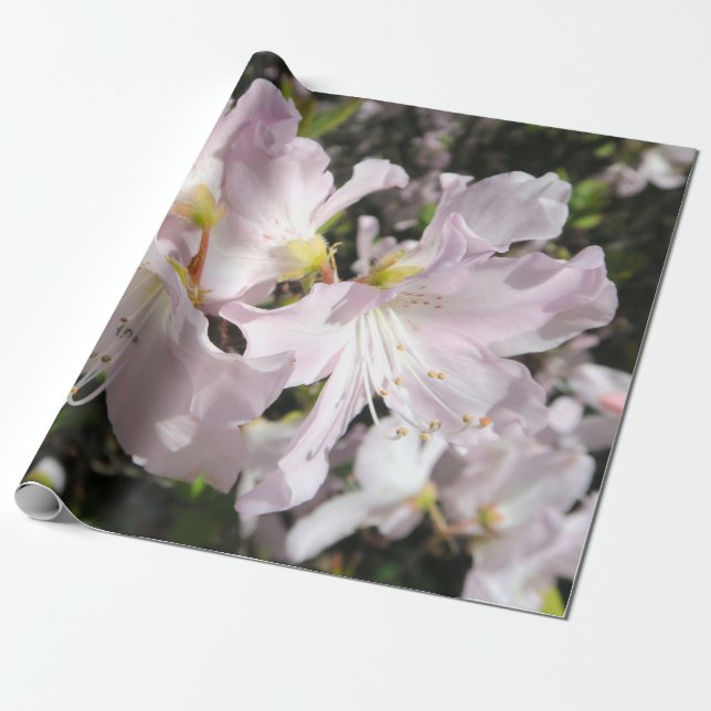 Bright Flowers Presentpapper (Utrullad)