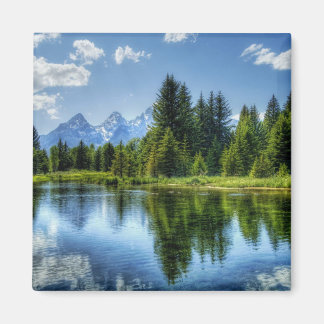 Bright Forest with Mountain and Sjö Magnet