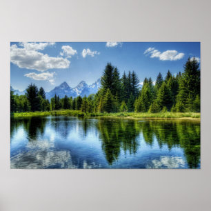 Bright Forest with Mountain and Sjö Poster