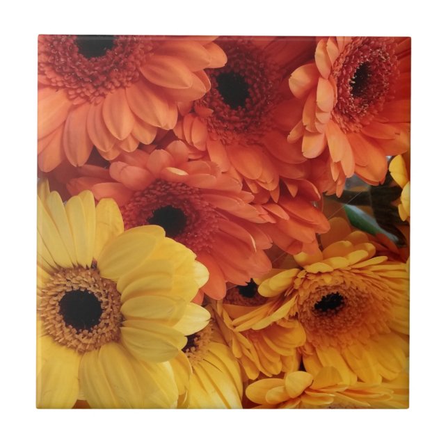 Bright Gerbera Flowers, Orange Gult, Flora Kakelplatta (Framsidan)