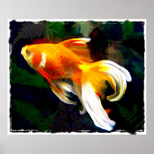Bright Golden Koi in Mörk Fish Pond Poster
