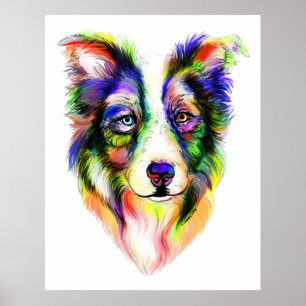 Bright Gräns Collie Poster