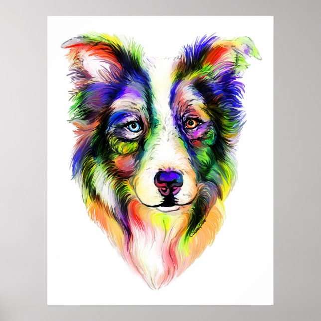 Bright Gräns Collie Poster (Framsidan)