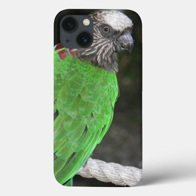 "BRIGHT GRÖNT PARROT" FODRAL FOR iPHONE 7 (Baksida)
