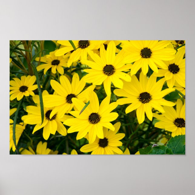 Bright Gula blommor Poster (Framsidan)