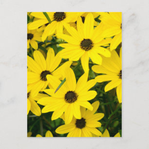 Bright Gula blommor Vykort