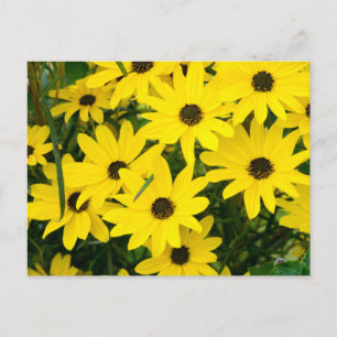 Bright Gula blommor Vykort