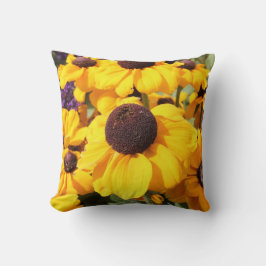 Bright gult Black-Eyed Susan Kudde