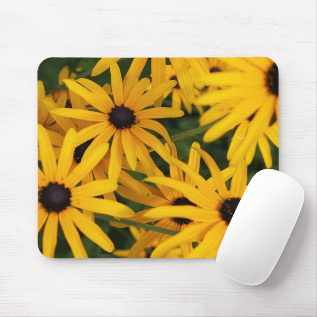 Bright Gult Black Eyed Susan Musmatta (Med mus)