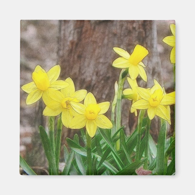 Bright Gult Daffodils Magnet (Framsidan)