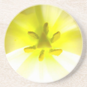 Bright Gult Inuti en Flower Sandstone Underlägg