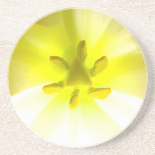 Bright Gult Inuti en Flower Sandstone Underlägg (Framsidan)