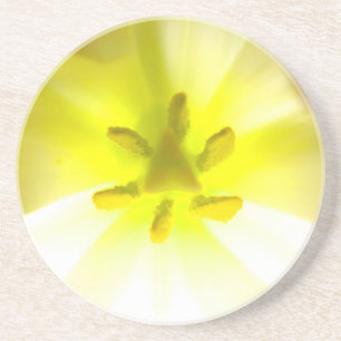 Bright Gult Inuti en Flower Sandstone Underlägg