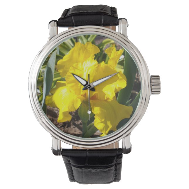 Bright Gult Iris, Armbandsur (Framsida)