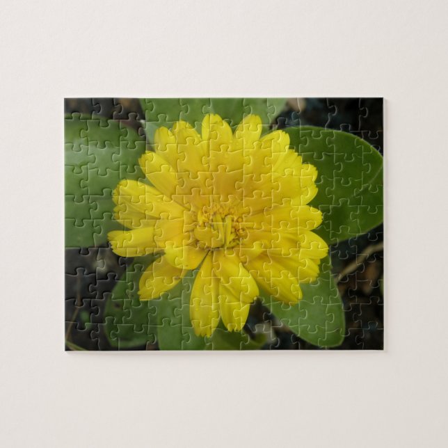 Bright Gult Marigold Puzzle Pussel (Horisontell)