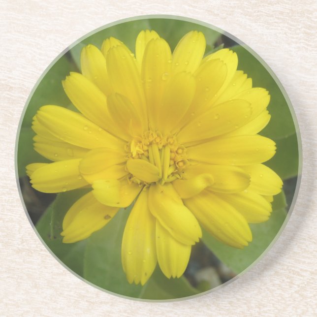 Bright Gult Marigold Underlägg Sandsten (Framsidan)