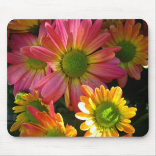 Bright Gult och Rosa Morsa i Rain Mouse Pad Musmatta