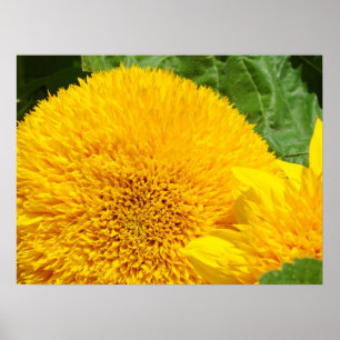 Bright Gult Solroskonst skriver ut Summer Garden Poster
