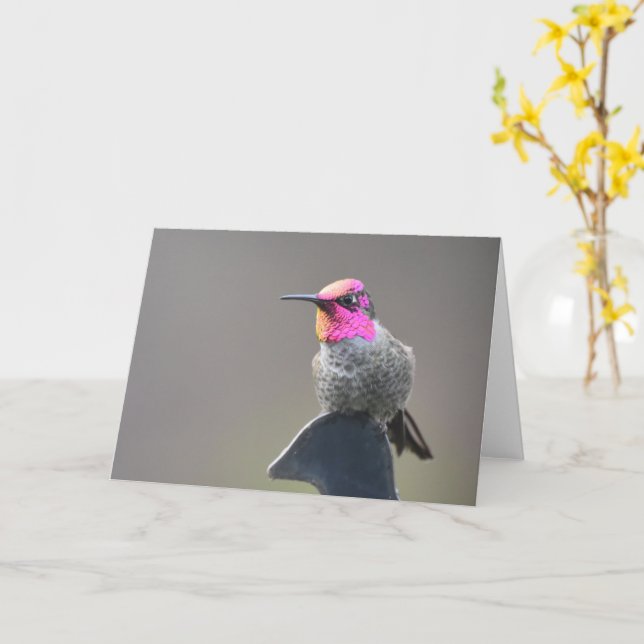 Bright Hummingbird - framtagbart bildkort Kort (Gul blomma)