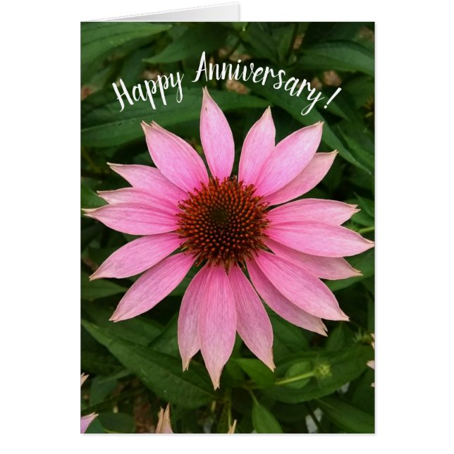 Bright Lila Coneflower-årsjusteringskort Hälsningskort (Framsidan)