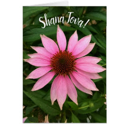 Bright Lila Coneflower Rosh Hashanah Card Hälsningskort