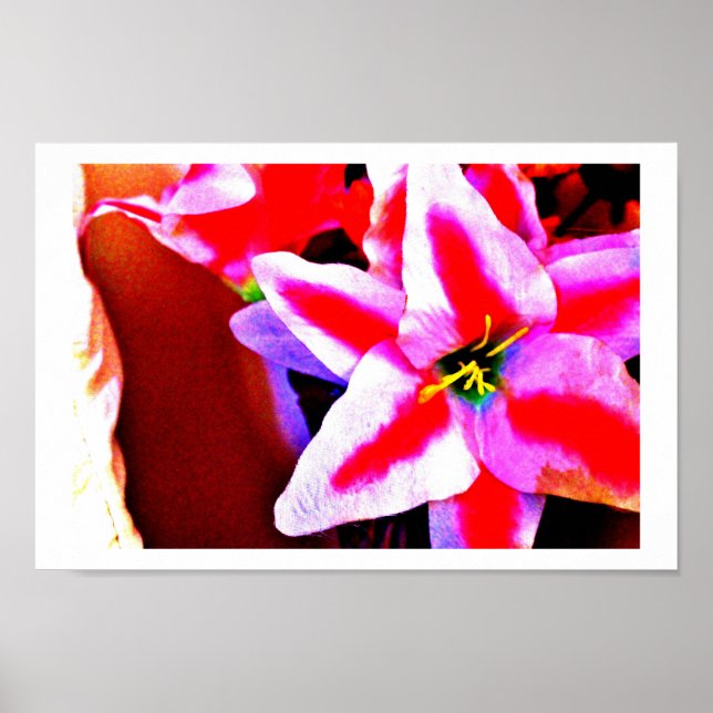 Bright Lily Poster (Framsidan)