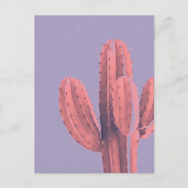 Bright Neon Rosa Lila Cactus Succult Photo Vykort (Framsida)