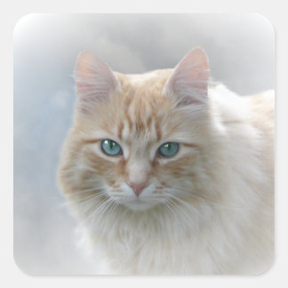 Bright Öga AH2010 Fyrkantigt Klistermärke