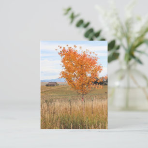 Bright oktober vykort