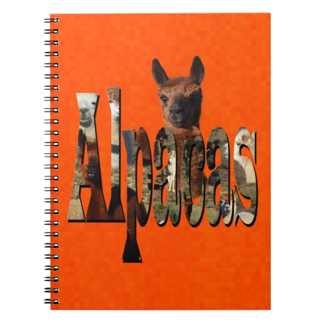 Bright Orange Alpaca Anteckningsbok (Framsidan)