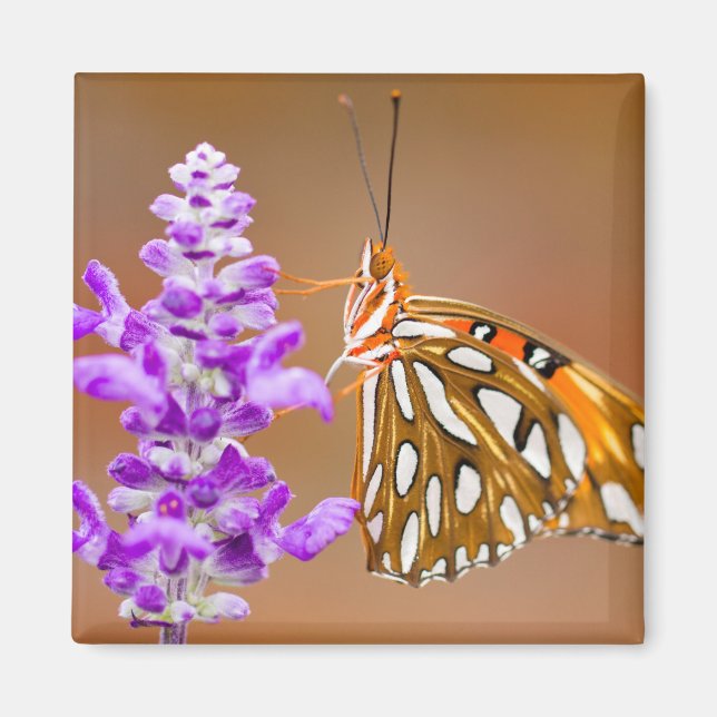 Bright Orange Bukt Fritillary Butterfly Magnet (Framsidan)