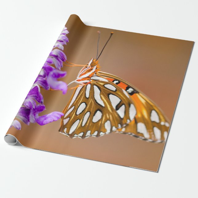 Bright Orange Bukt Fritillary Butterfly Presentpapper (Utrullad)