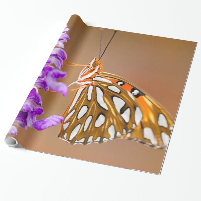 Bright Orange Bukt Fritillary Butterfly Presentpapper (Utrullad)