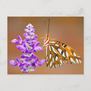Bright Orange Bukt Fritillary Butterfly Vykort